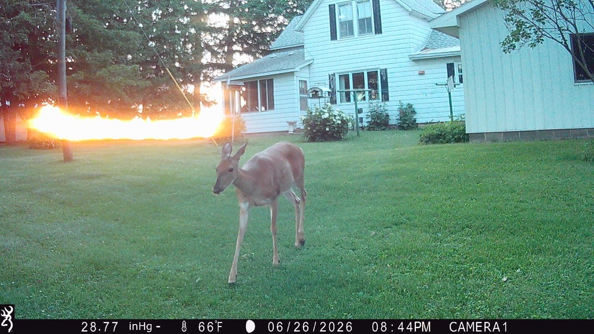 N3236 Nelson Road, Stockholm, WI