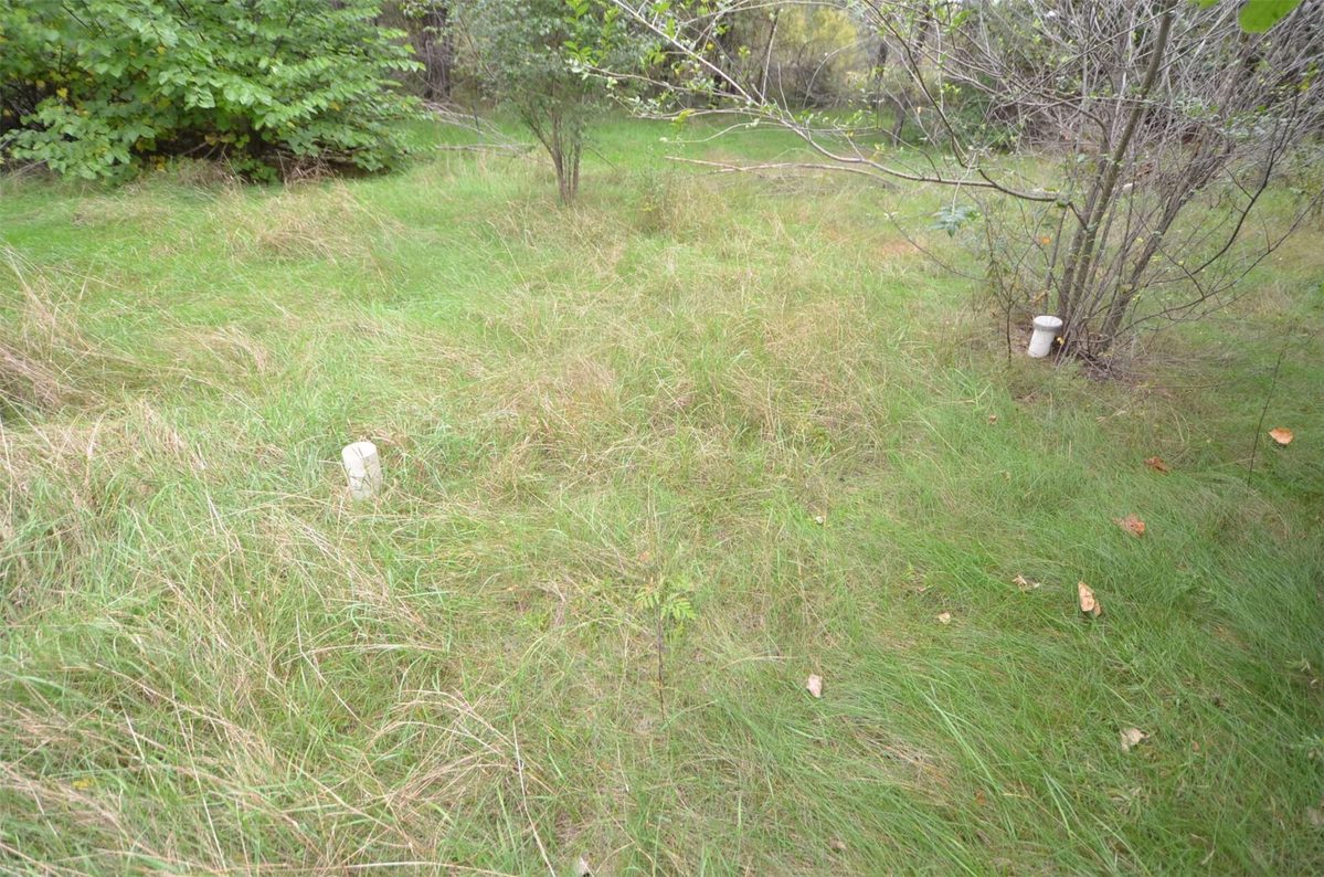 N47414 County Road Y, Eleva WI 54738 - Residential house for sale - MLS #1605721 - image50