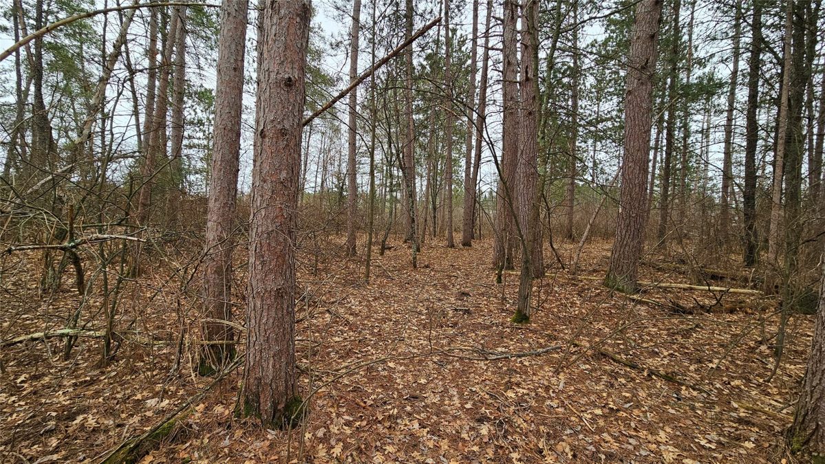 Lot 2 Jenny Lane Hayward WI 54843 — photo 4