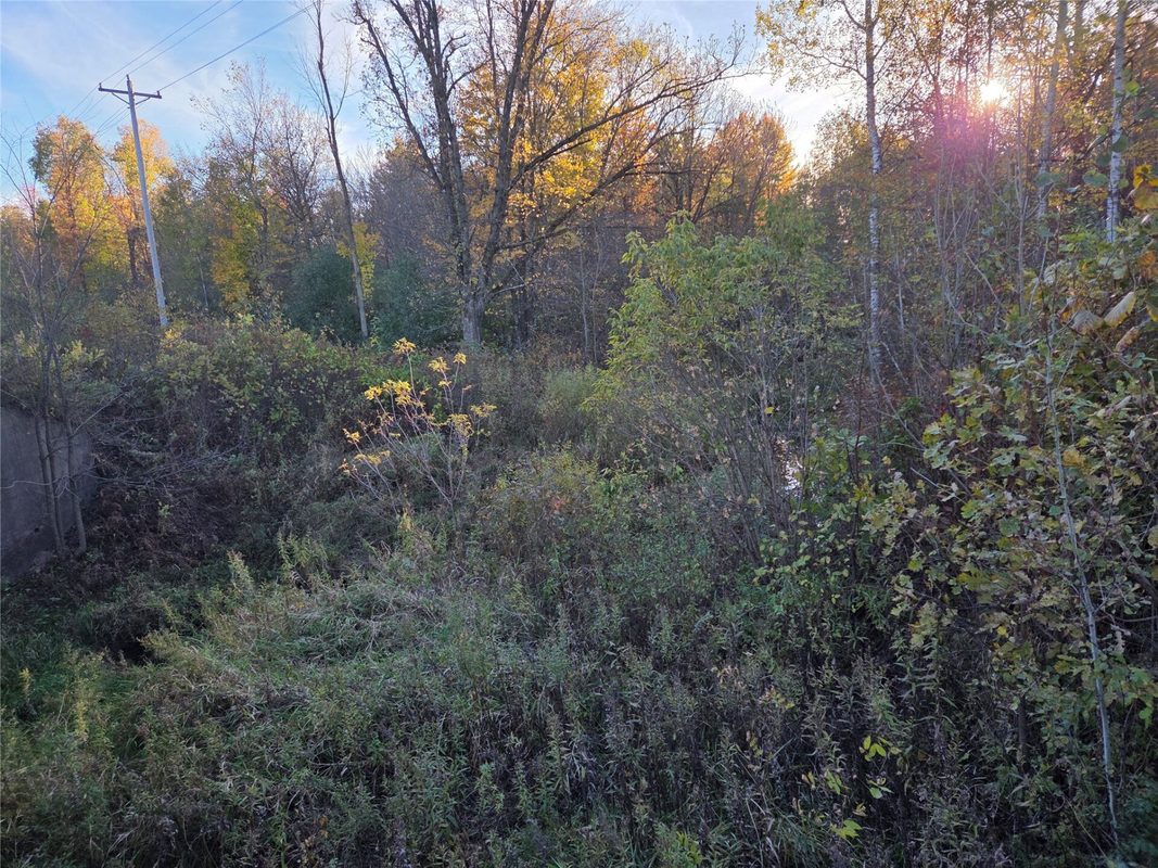 SW corner of Hwy 25 & Hwy 48 Intersection, Rice Lake, WI — photo 2