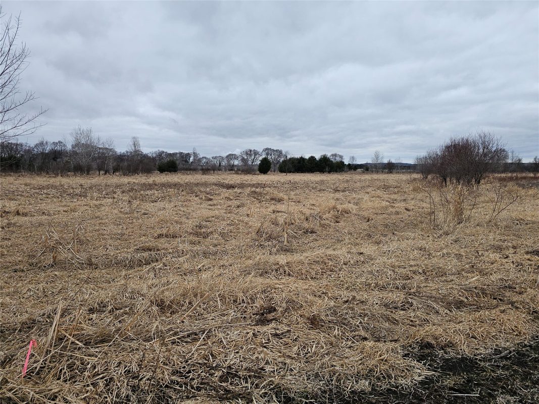 XXX 994th Avenue Boyceville WI 54725 — photo 6