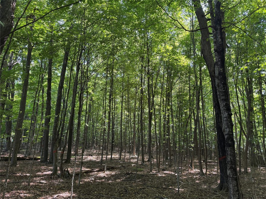 OOO County Road L, Merrill WI 54452 - Land house for sale - MLS #1605059 - image25