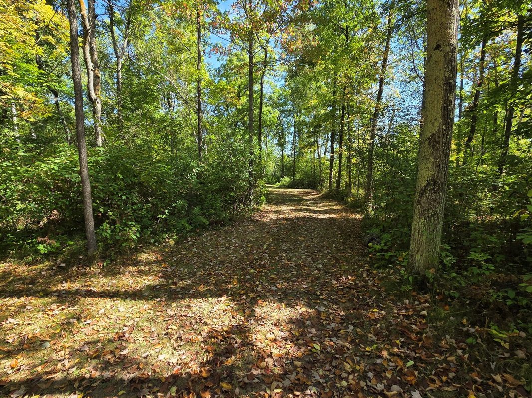 2809 28 11/16 Street, Birchwood WI 54817 - Land house for sale - MLS #1604772 - image45