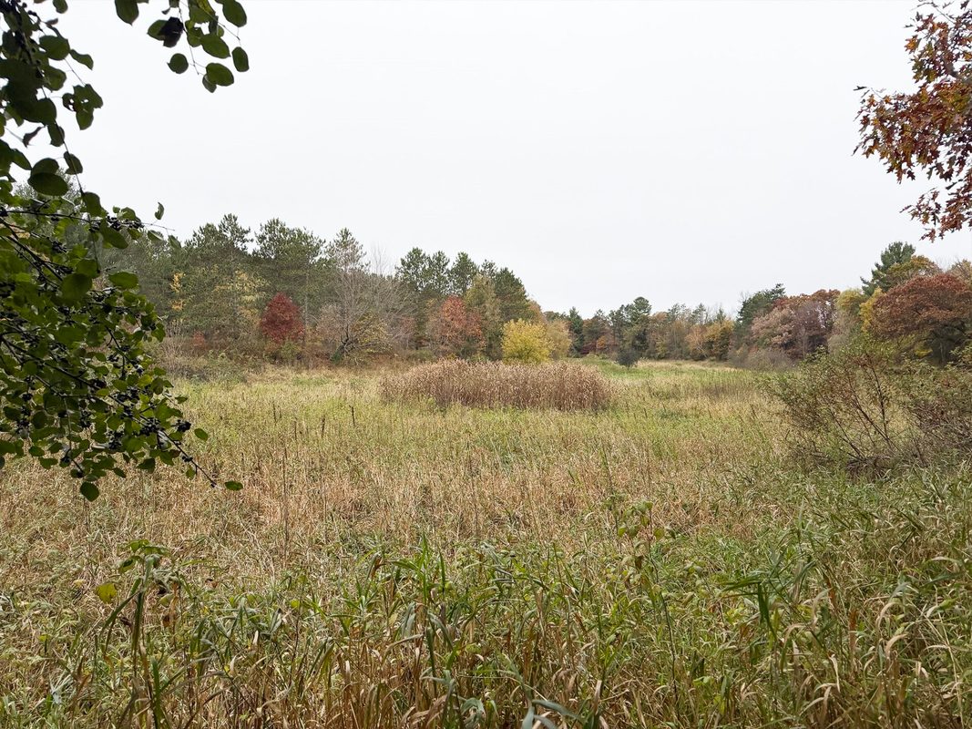 1345 100th Street, Amery WI 54001 - Land house for sale - MLS #1606027 - image7