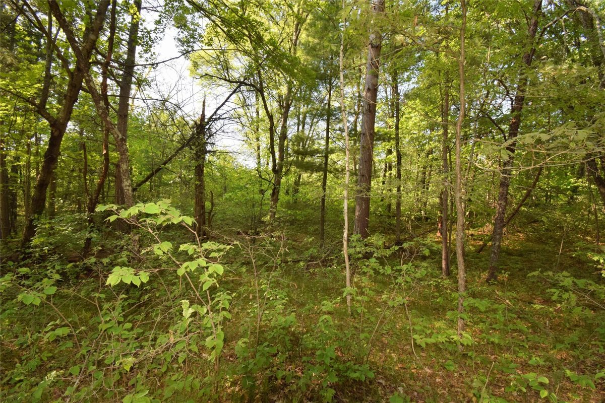 Lot 31 Setting Sun Trail Way, Danbury WI 54830 - Land house for sale - MLS #1601782 - image13