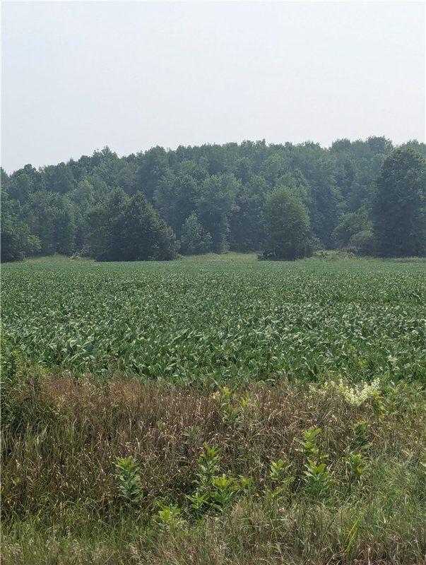 Lot 4 County Highway W, Holcombe, WI — photo 6