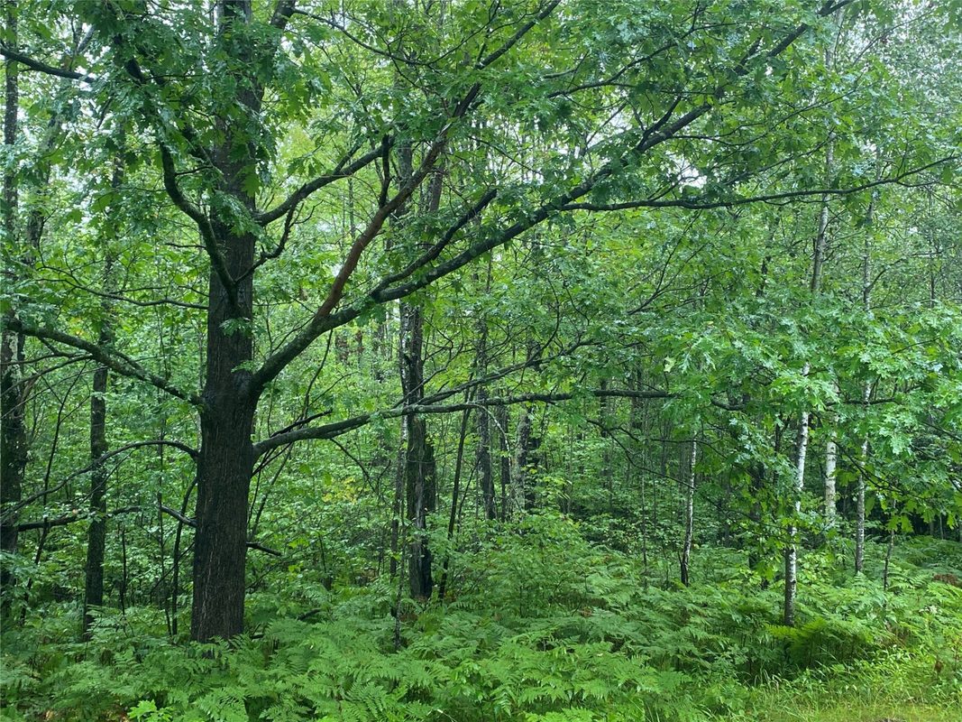 ON Pennington Road, Prentice WI 54556 - Land house for sale - MLS #1599132 - image6