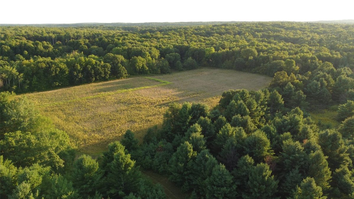 00 340th Avenue, Clam Falls WI 54837 - Land house for sale - MLS #1604779 - image10