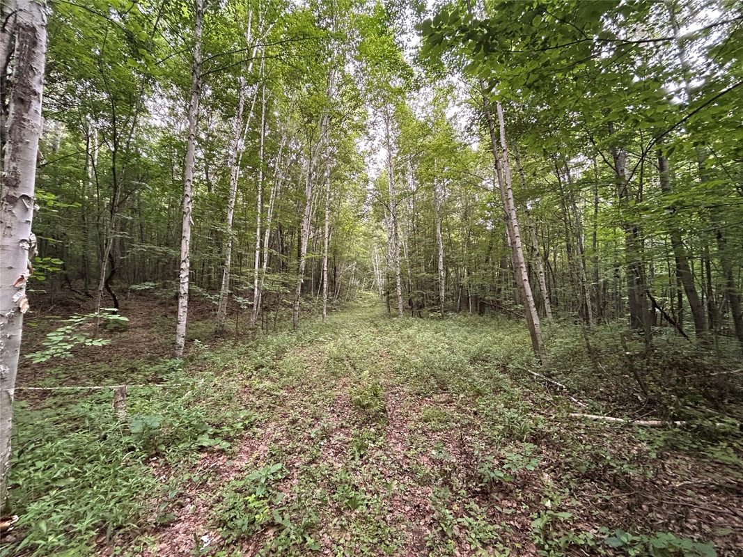 On Strabel Road, Stone Lake WI 54876 - Land house for sale - MLS #1604177 - image11