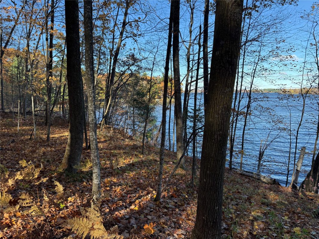 XXX County Hwy MD, Sarona WI 54870 - Land house for sale - MLS #1605948 - image18
