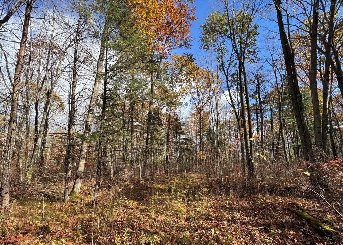 208220 Kane Lane, Mosinee WI 54455 - Land house for sale - MLS #1606074 - image14