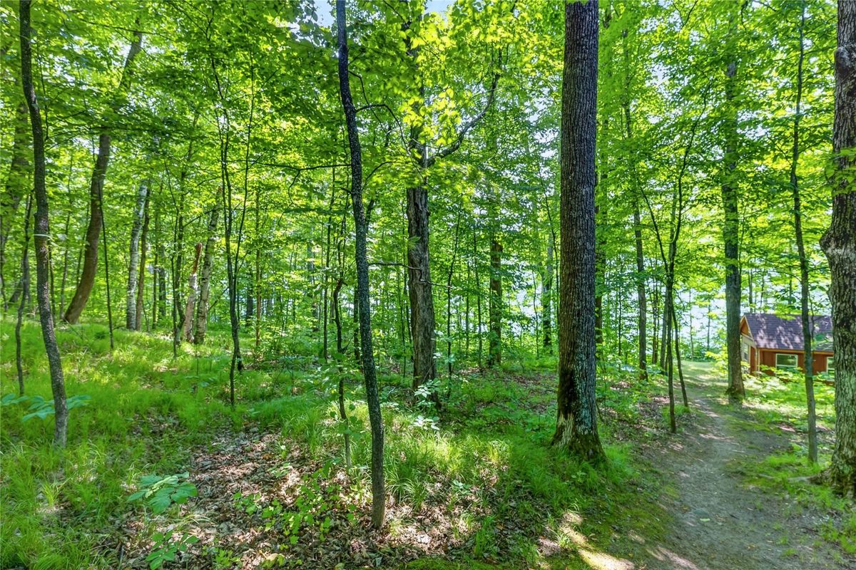 6925W Hemlock Haven Road, Winter WI 54896 - Land house for sale - MLS #1603697 - image42