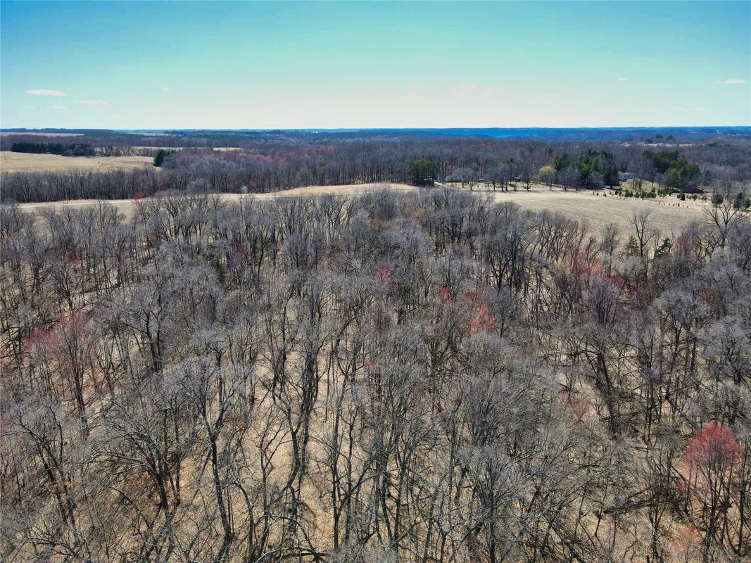 000 160th Avenue Maiden Rock WI 54750 — photo 9