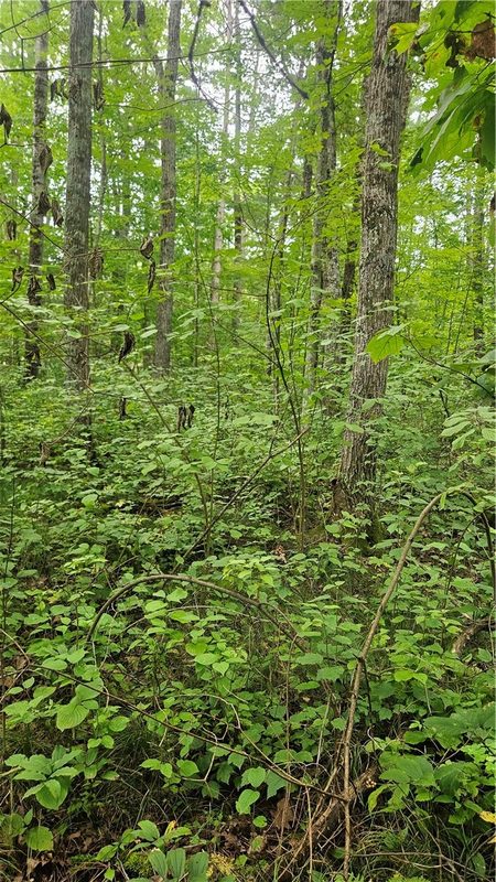 Residential at Lots 1-2, 34-40 BLK 2 County Road K, Hayward, WI 54843 — photo 3