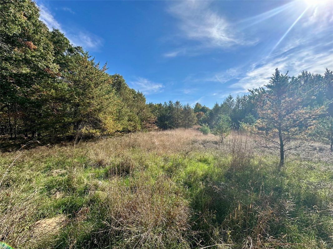 S3678 County Road N, Augusta WI 54722 - Land house for sale - MLS #1605865 - image6