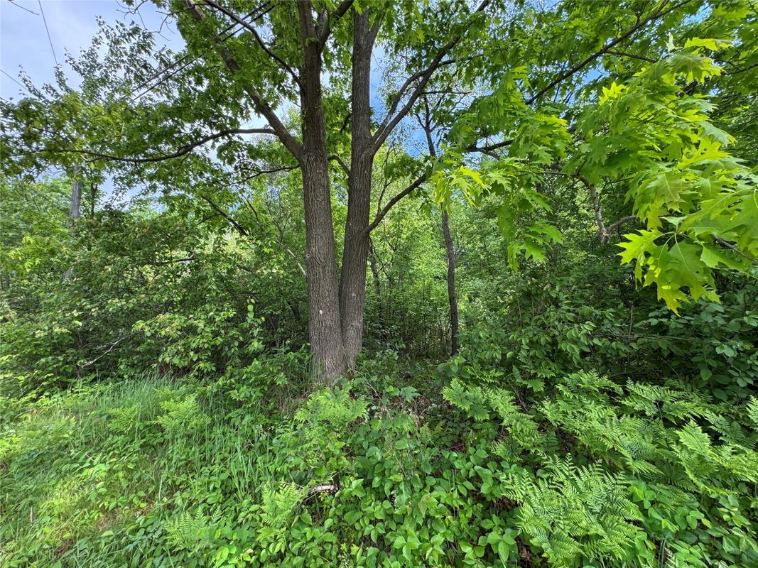 000 Boundary Road, Ringle WI 54471 - Land house for sale - MLS #1602183 - image4