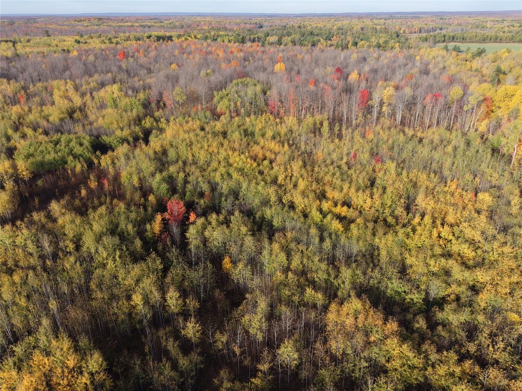 On County Highway W, Winter WI 54896 - Land house for sale - MLS #1605419 - image6
