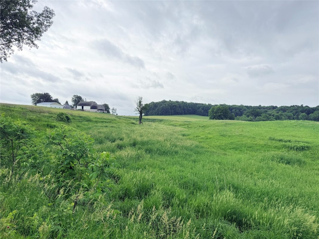 0 Grandview Drive, Fall Creek WI 54727 - Land house for sale - MLS #1603307 - image11