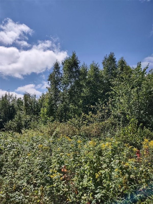 TBD Lot 7 10 1/4 Avenue, Chetek WI 54728 - Land house for sale - MLS #1595118 - image8