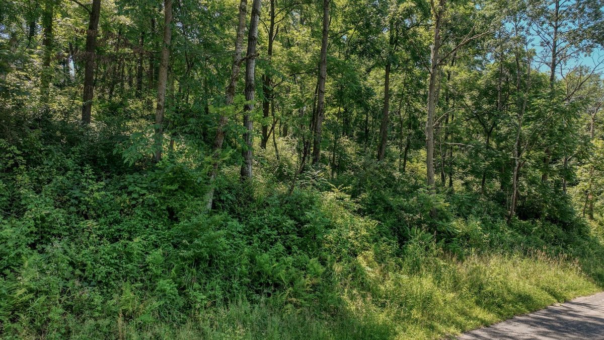 00 Garves Coulee Road, Bangor WI 54614 - Land house for sale - MLS #1603270 - image6