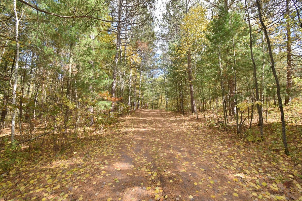 31792 Airfield Road, Danbury WI 54830 - Residential house for sale - MLS #1605868 - image54