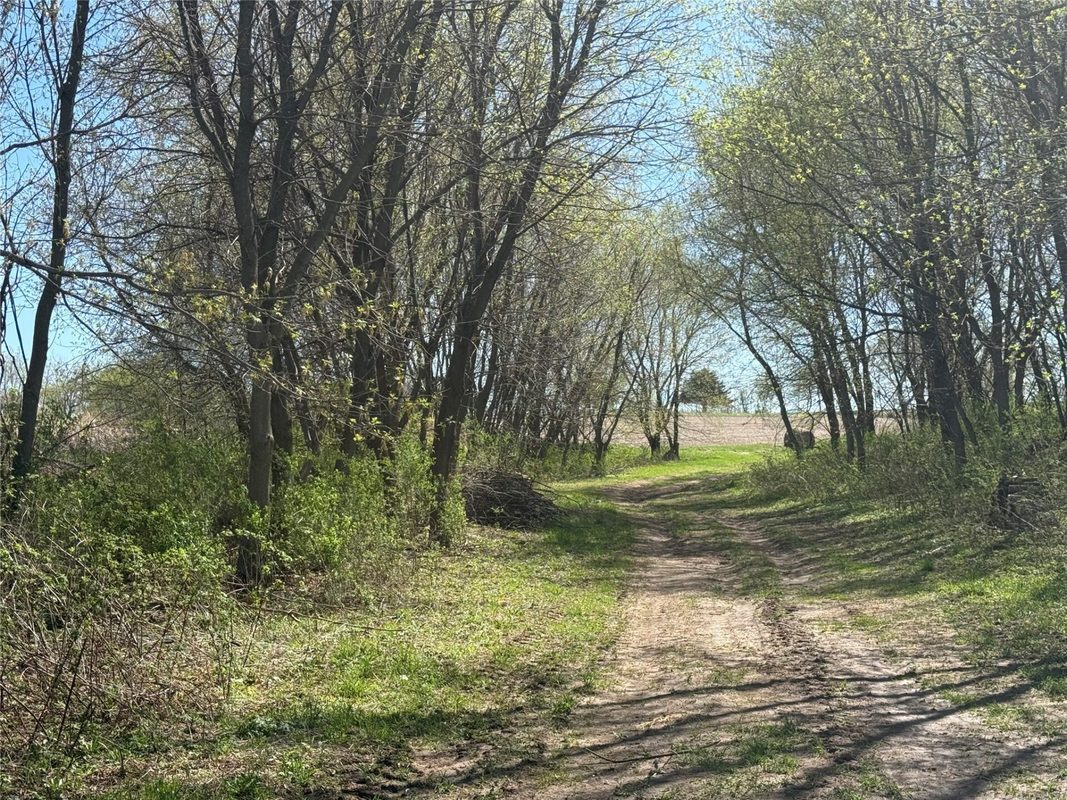Land at 00 County Road CC, Pepin, WI 54759 — photo 7