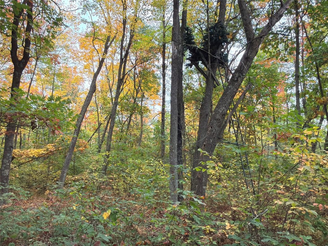 0 Klarquist Road, Webster WI 54840 - Land house for sale - MLS #1605651 - image11