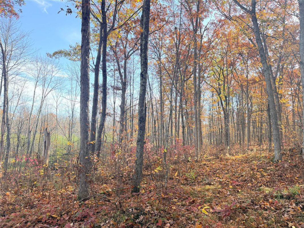 0 County Highway C, Rice Lake WI 54868 - Land house for sale - MLS #1605929 - image38
