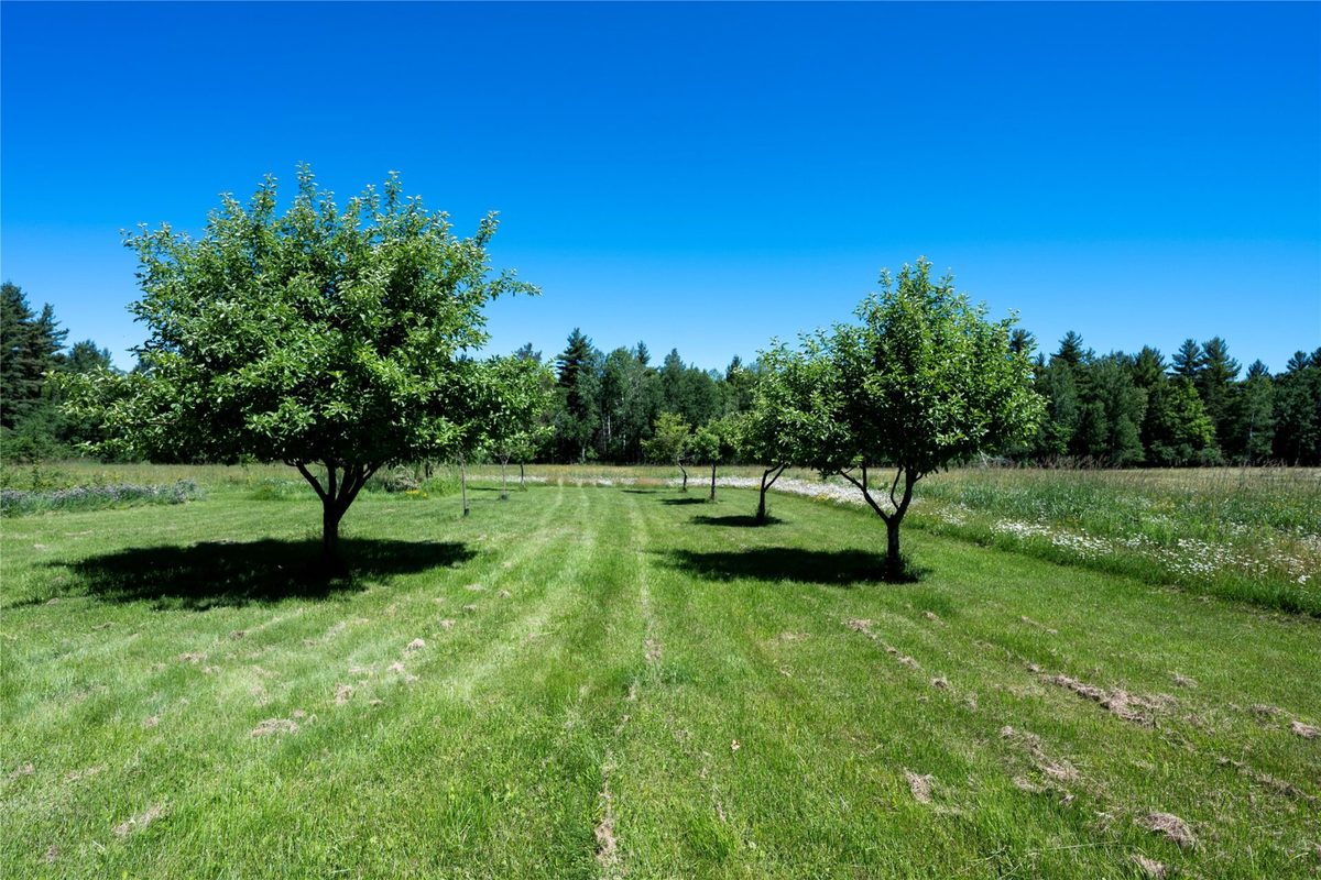 68479 County Highway C, High Bridge WI 54846 - Residential house for sale - MLS #1602580 - image38