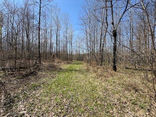 W9793 Dankes Road, Phillips, WI