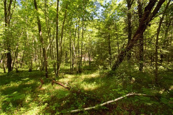 25227 Kruger Road, Webster WI 54893 - Land house for sale - MLS #1601553 - image1