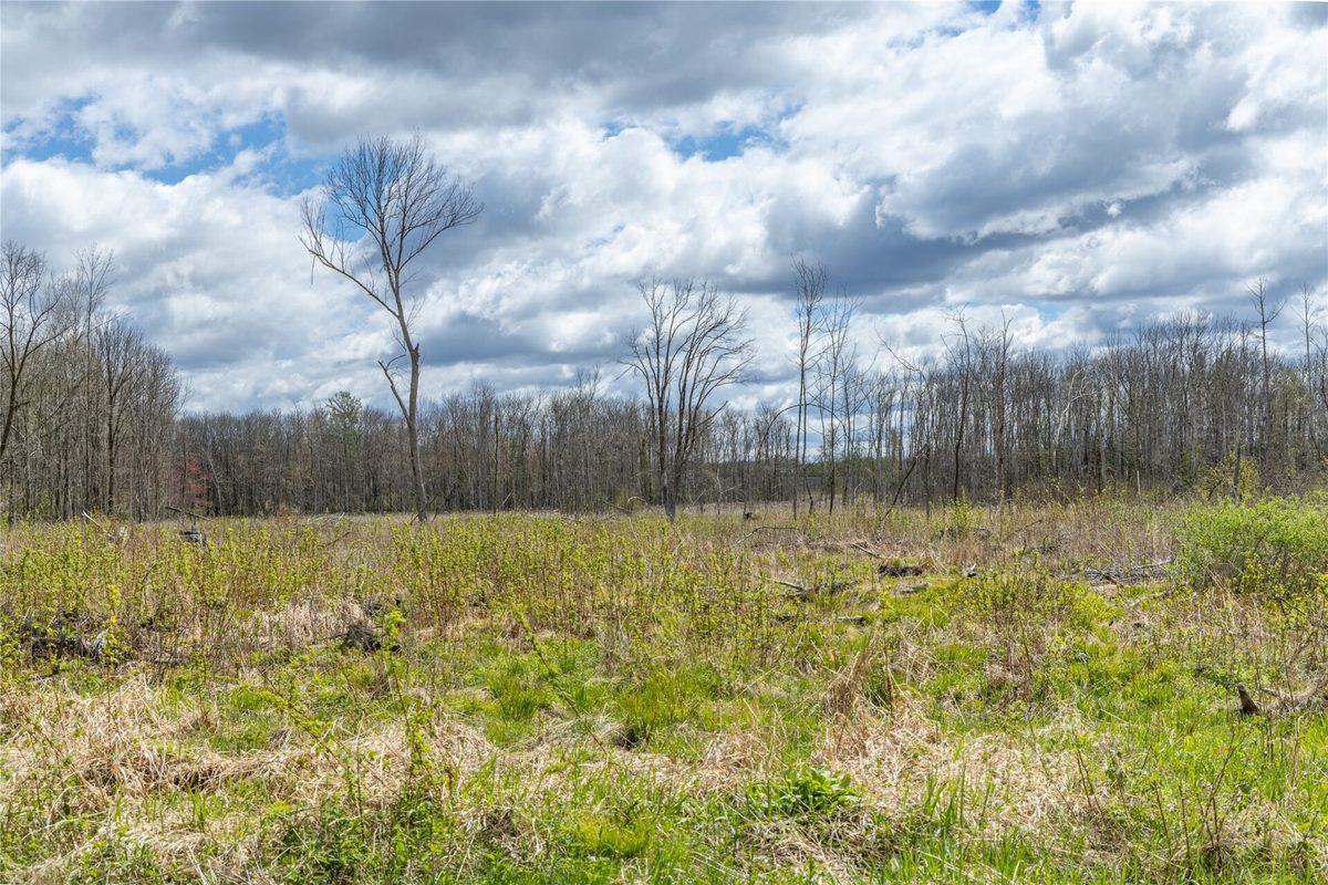 40 Acres Anderson Road & School Road, Glen Flora WI 54526 - Land house for sale - MLS #1601150 - image18