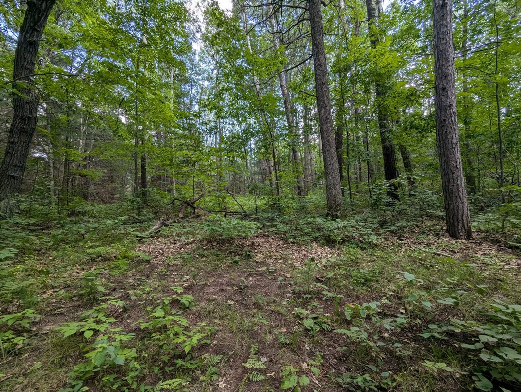 Lot 3 Fosmo Drive, Webster WI 54893 - Land house for sale - MLS #1599371 - image3
