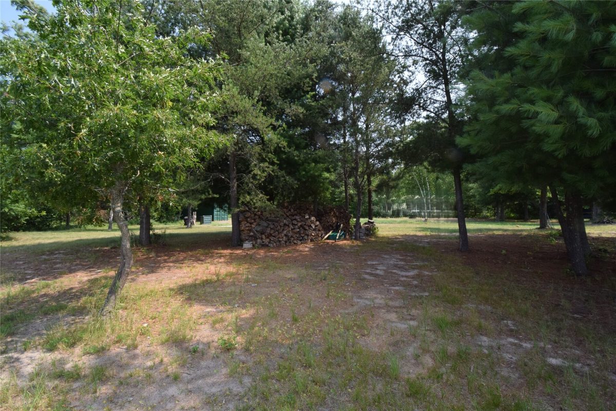 8533 Bass Lake Road, Danbury WI 54830 - Land house for sale - MLS #1603526 - image3