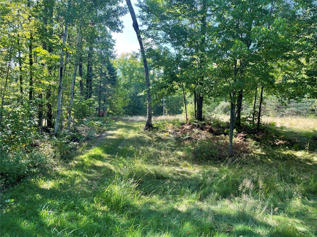 7154 McDermott Road, Winter WI 54896 - Residential house for sale - MLS #1604729 - image30