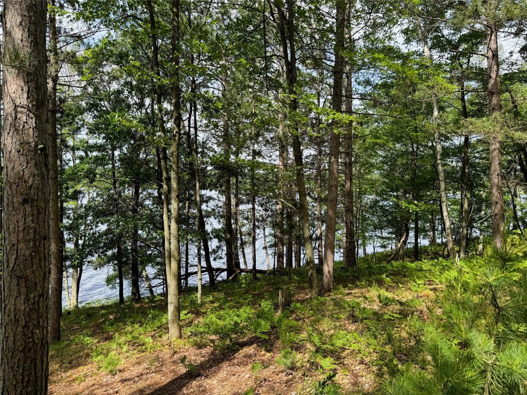 11149 Merganser Lane, Hayward WI 54843 - Land house for sale - MLS #1604672 - image32