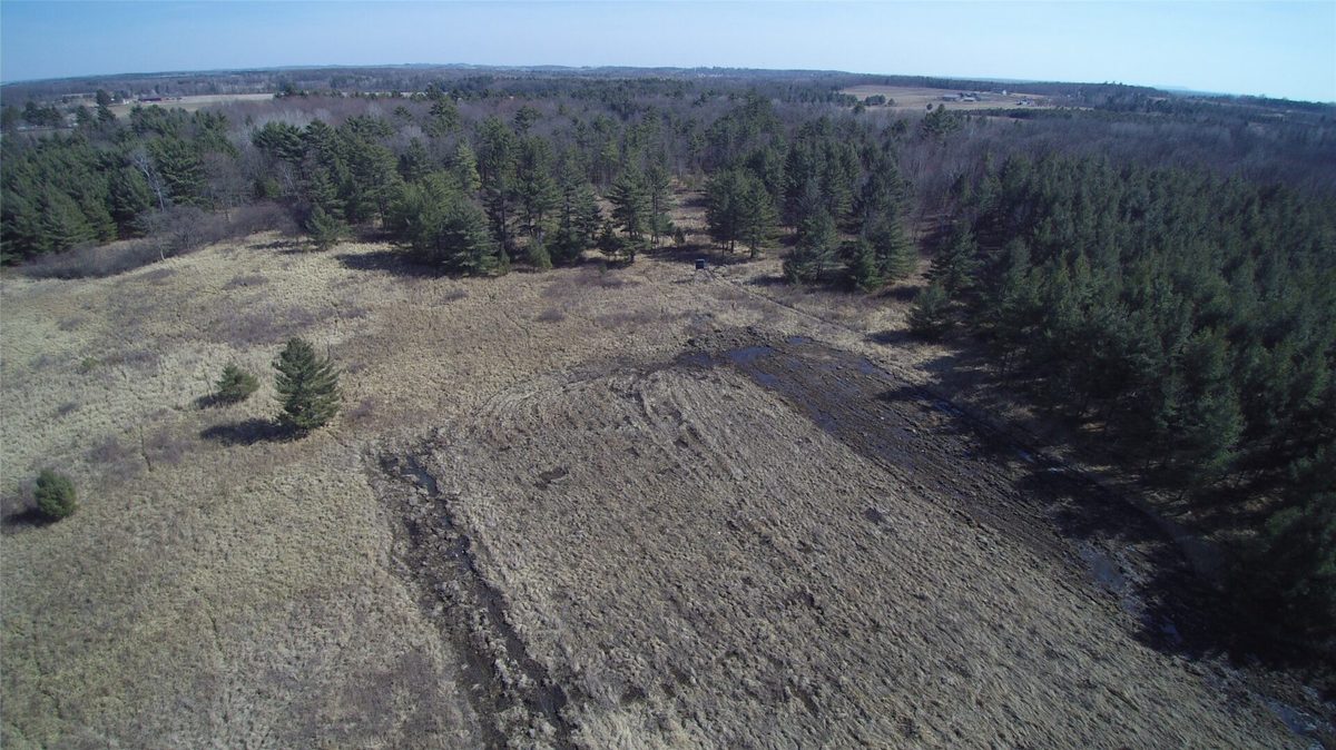 Land at 000 Granton Road, Neillsville, WI 54456 — photo 7
