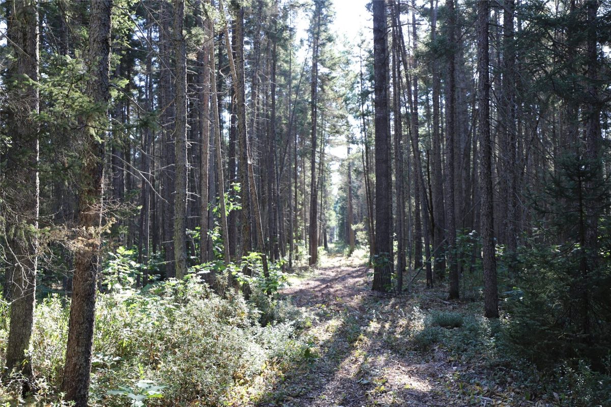 0000 Sand Lake Road, Stone Lake WI 54876 - Land house for sale - MLS #1604299 - image19