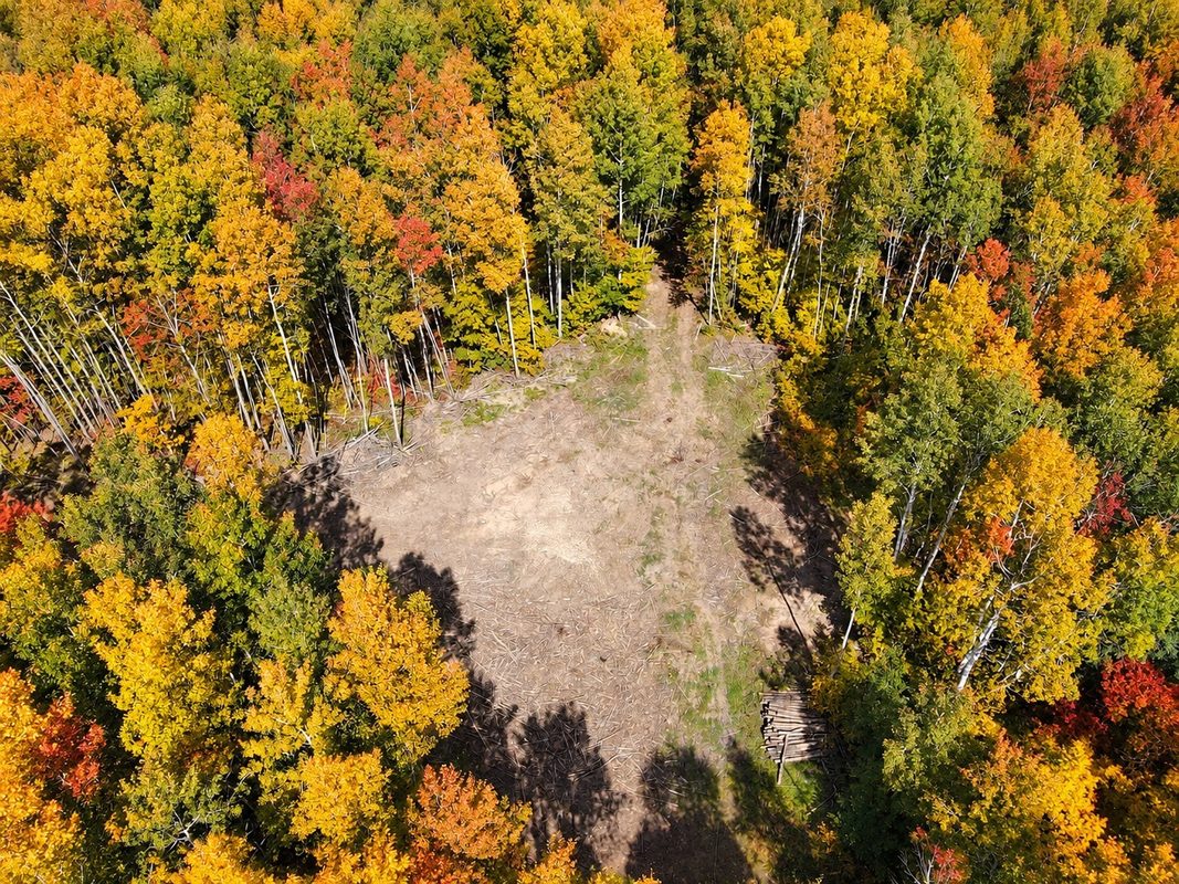 Parcel 4 County Road A, Solon Springs WI 54873 - Land house for sale - MLS #1604811 - image8
