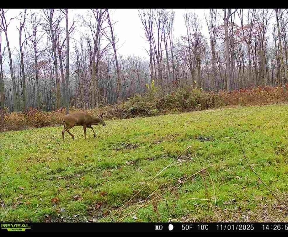 1563 N Helena Drive Holcombe WI 54731 — photo 17