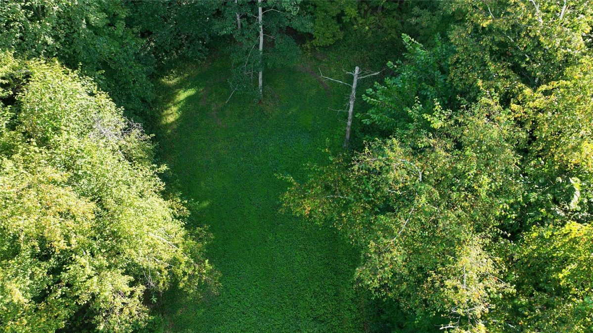 XX County Rd O, Boyceville WI 54725 - Land house for sale - MLS #1604881 - image13