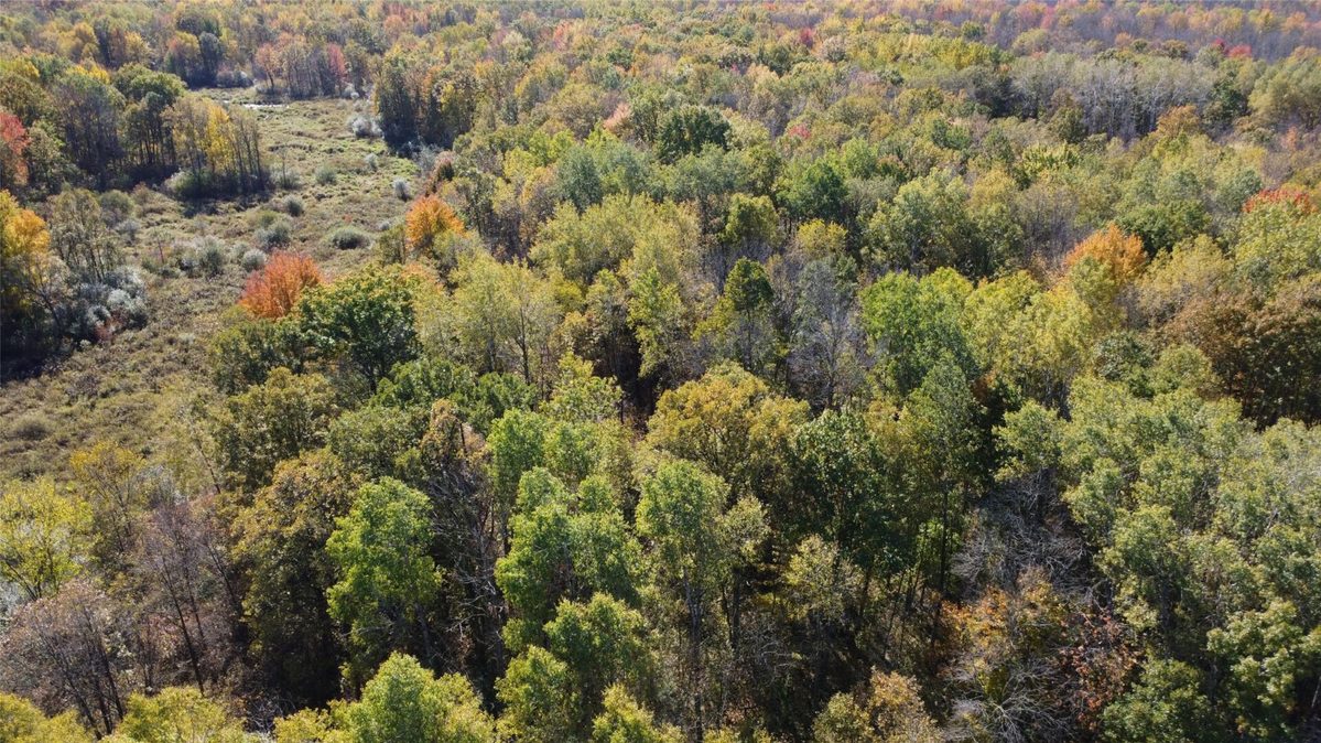 OOO Richfield Wood Road, Arpin WI 54410 - Land house for sale - MLS #1605936 - image9
