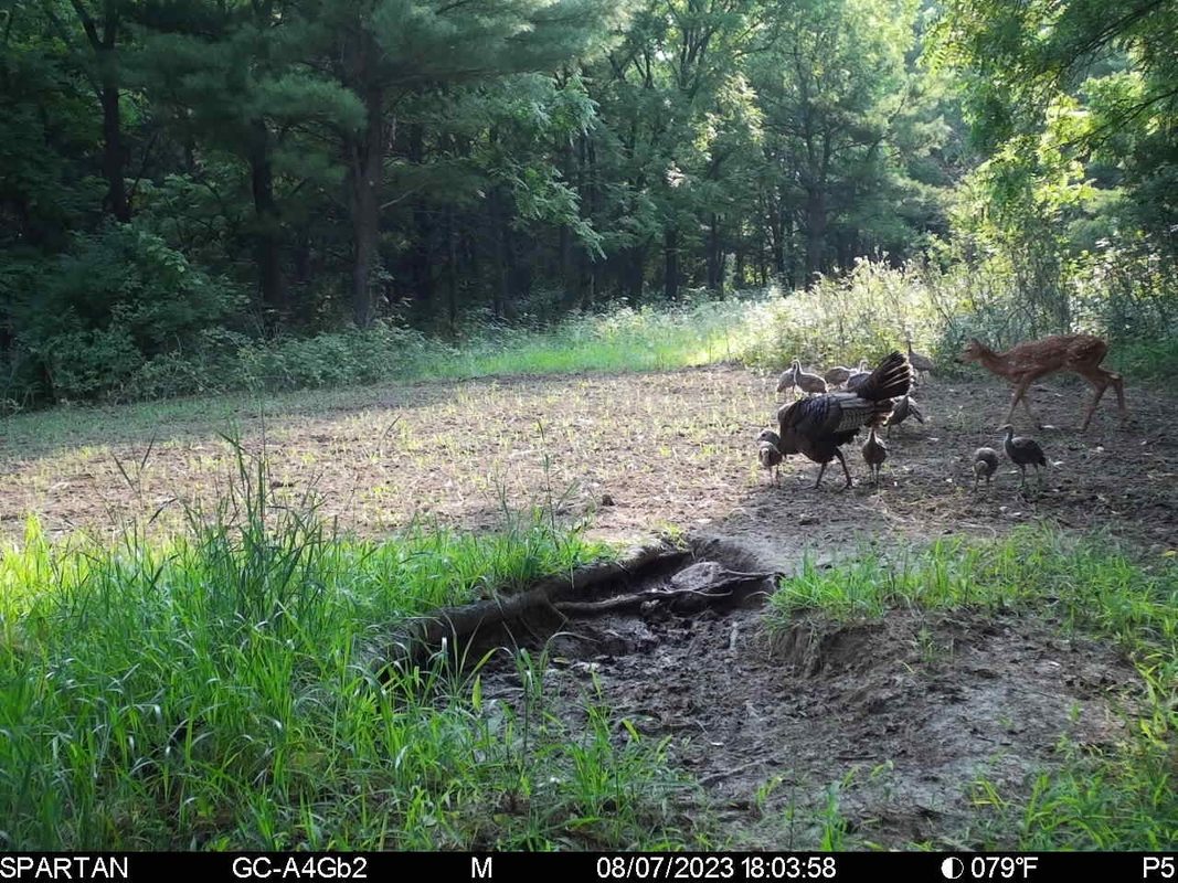 890 S Independence Road, Independence, WI — photo 20