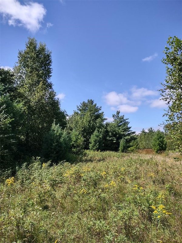 TBD Lot 7 10 1/4 Avenue, Chetek WI 54728 - Land house for sale - MLS #1595118 - image9