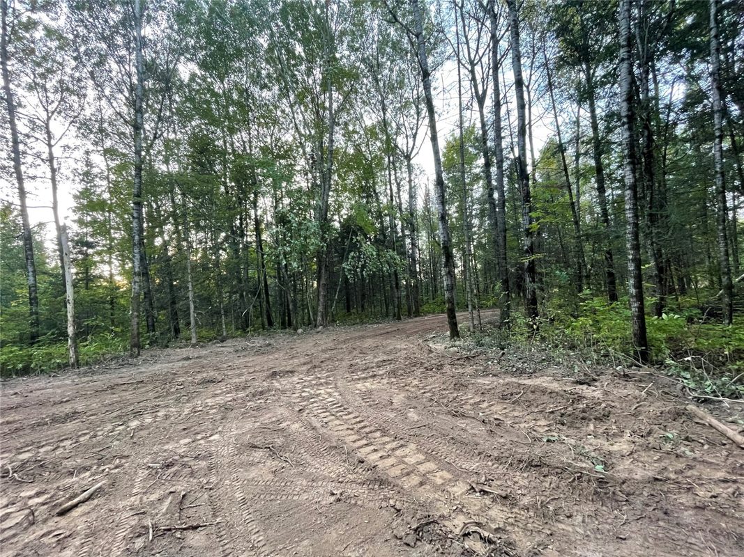 Lot 3 Fadness Road, Winter WI 54896 - Land house for sale - MLS #1605263 - image9