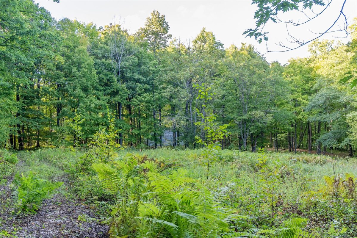 38.2 Acres Vierck Lane, Exeland WI 54835 - Land house for sale - MLS #1605286 - image16