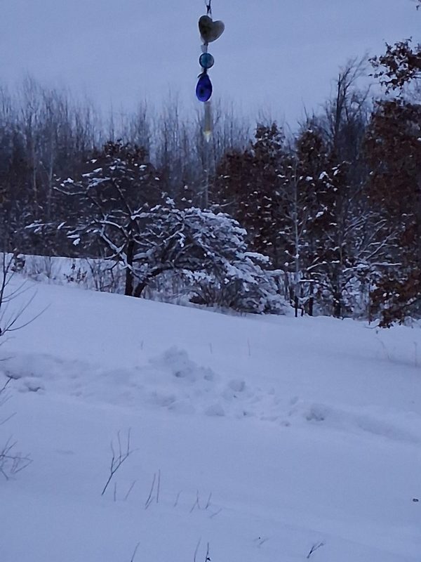 11116 Blackberry Road, Trego WI 54888 - Land house for sale - MLS #1601881 - image35
