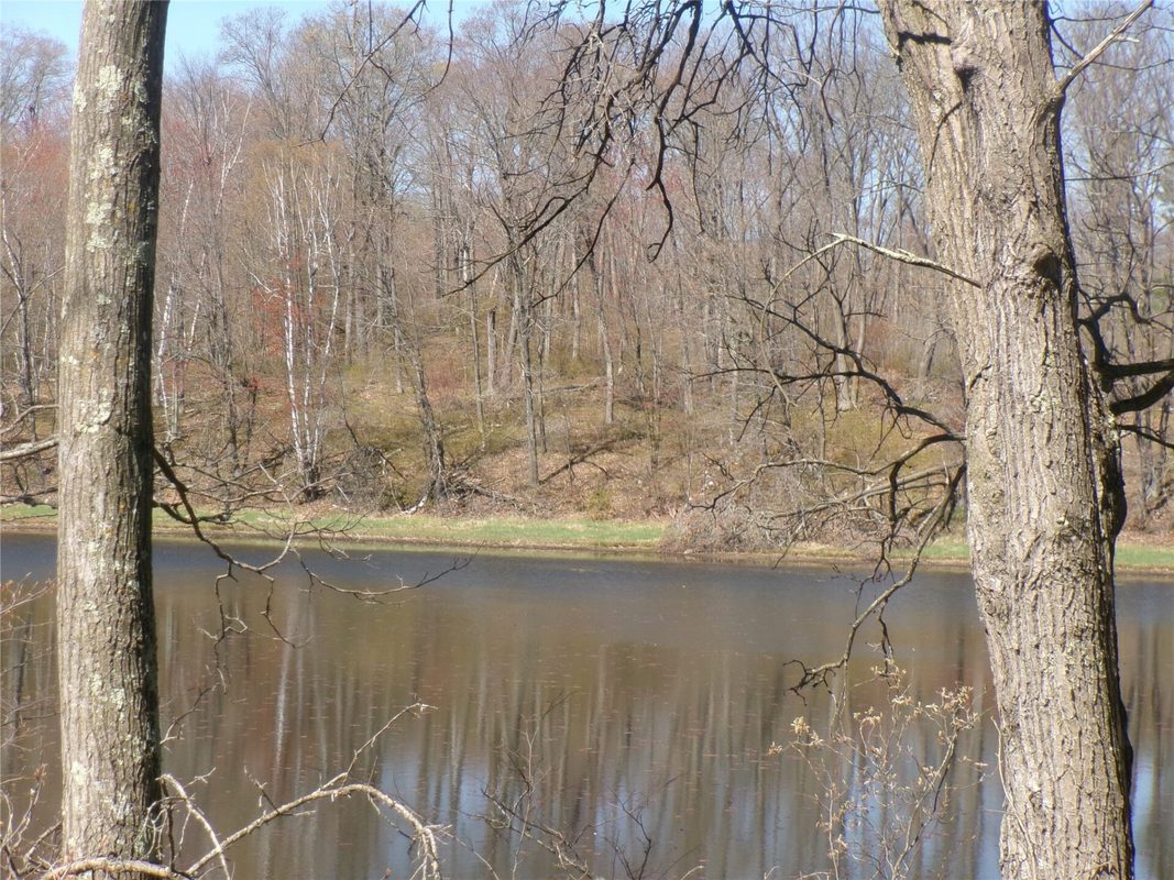 Tax ID 35410 Moody Lake Road, Sarona WI 54870 - Land house for sale - MLS #1601029 - image15
