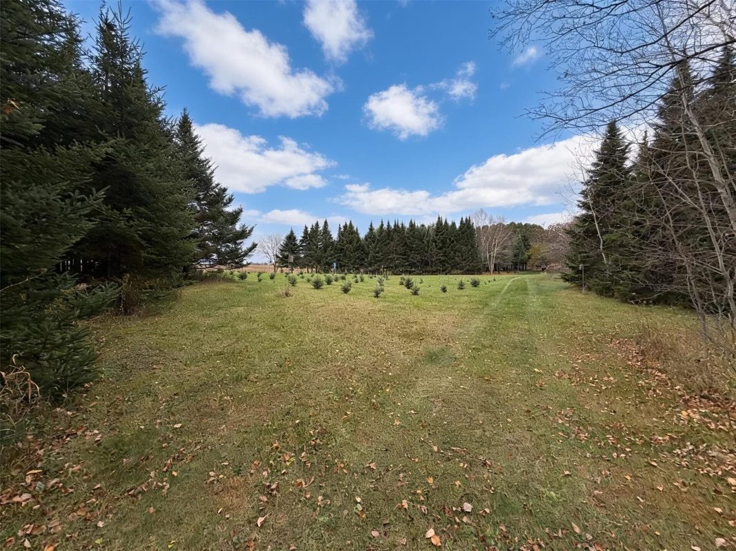 789 29 1/2 Avenue, Barronett WI 54813 - Land house for sale - MLS #1606193 - image9