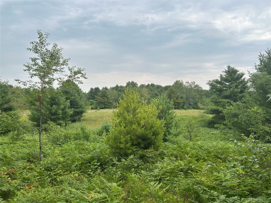 On Strabel Road, Stone Lake WI 54876 - Land house for sale - MLS #1604177 - image18